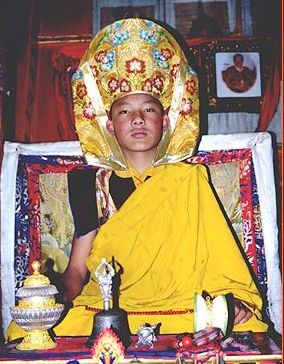 Karmapa In Dharamsala, Discover reincarnation of buddhist lama, biography of HHK, dharma of buddhist tibetan gyuto monks.