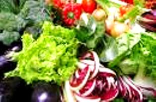 Himalayan Health Food Himalayan Health Food