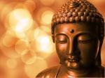 buddha.med.jpg