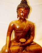 Siddarth Buddha