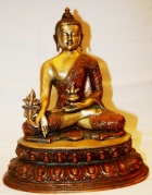 medicine buddha throne