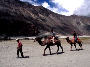 Nubra Valley Ladakh
