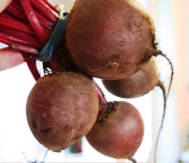 Beetroot India