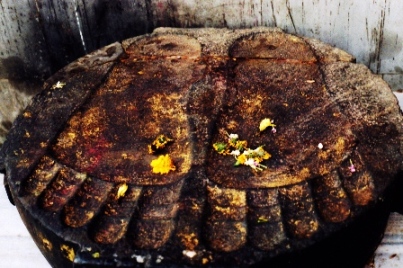 Bodhgaya..Bihar, India