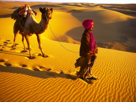 Camel, Ship of Rajasthan, India