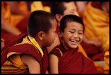 Tibetan buddhist monks