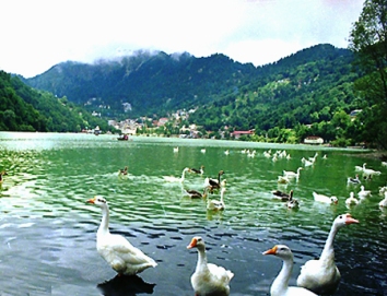 China Peak, Nainital