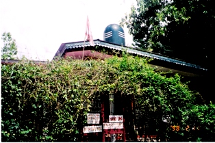 Shiva of Chinmaya Dharamsala