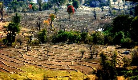Green Eco-Himalayas, Dharamsala