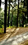 Roads of Himachal