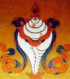 Tibetan Conch