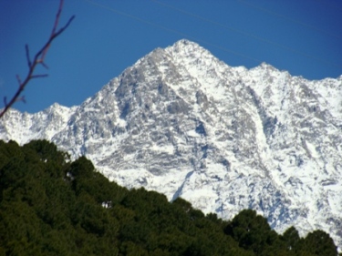 Snow Dharamsala