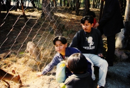 Wild Life Dharamsala