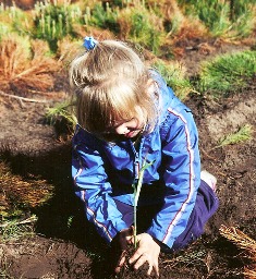 Child Planting Tree