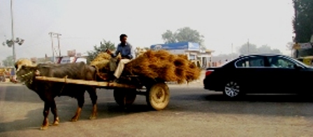 Rural India 