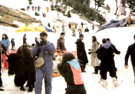 Rohtang Pass, Manali