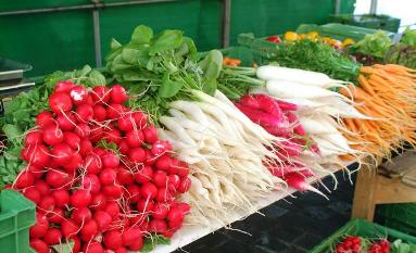 Subzi Mandi Himachal