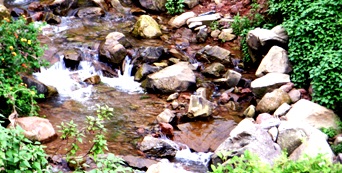 Natural Stream of Vidya Niwas, Dharamsala