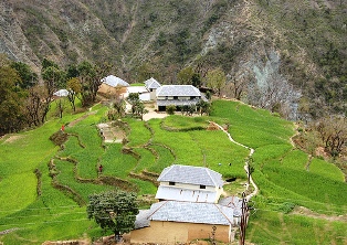 Dharamsala Farms