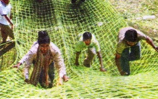 triund trek dharamsala