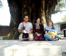 Bodhi Tree at Norbulingka, Dharamsala