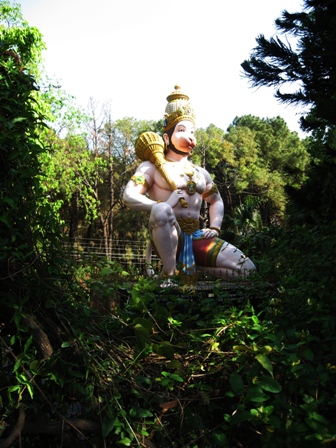 Monkey God, Dharamsala