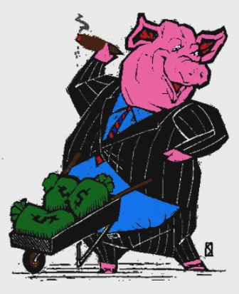 India Animals India Animals