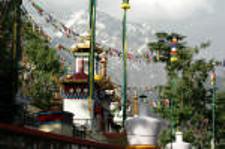 Tibetan tradition in Dharamshala