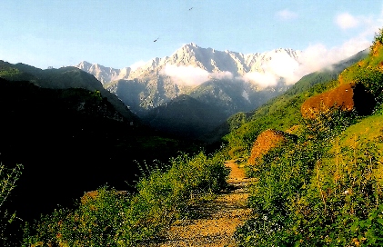 Mountain Nature Walk at Vidya Niwas