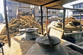 The Art of Attar Making, India