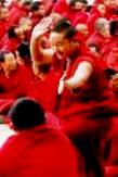 Debates by Monks, Dharamsala