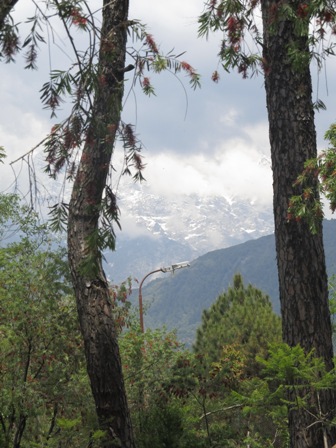Dharamsala India