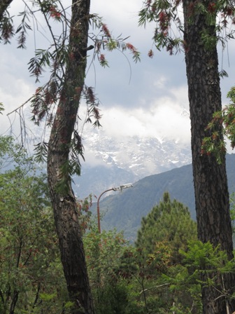 dharamsala8.jpg