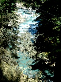 Angling River of Dharamsala