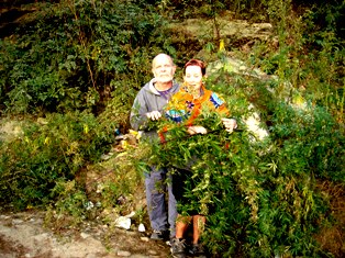 Heal Green Friends in Dharamsala