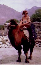 Ladakh Camel Safari