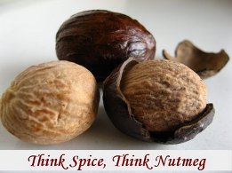 Nutmeg India