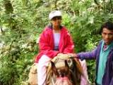 Pony ride in Dharamsala