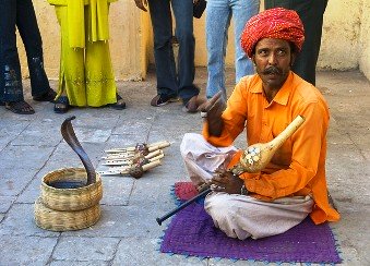 Indian Snake Charmer Indian Snake Charmer