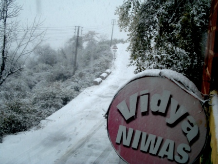 Hotels in Dharamsala Hotels in Dharamsala