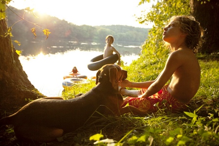 Fun in the Forest Fun in the Forest