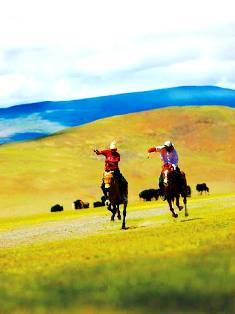 Himalayan Race in Tibet