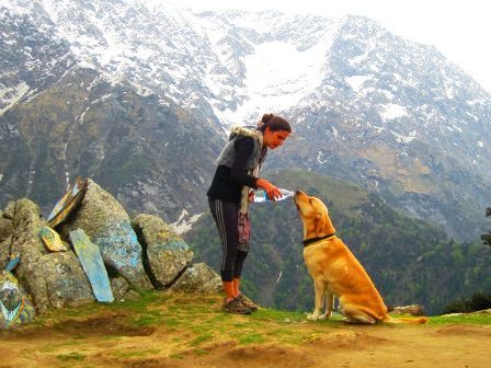 Places-to-visit-in-Dharamsala,DharamsalaTaxi stand,Dharamsala Tourism,Dalai Lama temple,Dharamsala India,Spiritual Retreats,Dharamsala Sightseeing,Dharamshala,