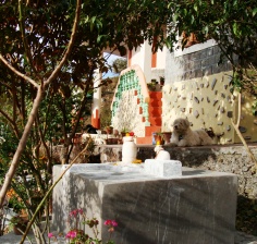 Vidya Niwas Shiva Temple