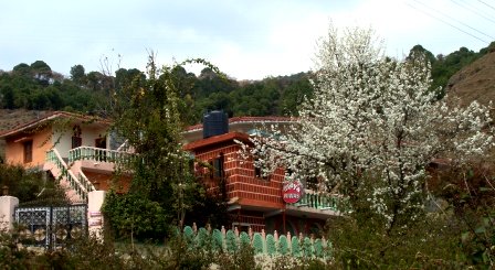 Vidya Niwas, Dharamsala