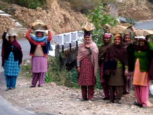 Himalayan Gram Seva